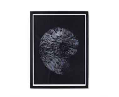 Ammonite - ?